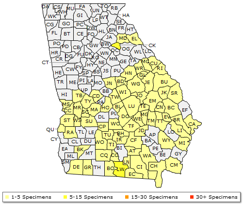 The range of Quercus incana